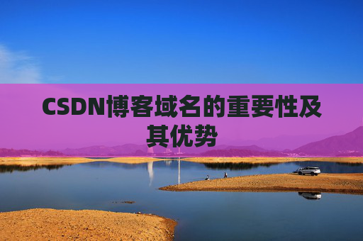 CSDN博客域名的重要性及其优势